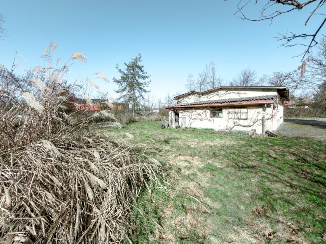 Altbestand